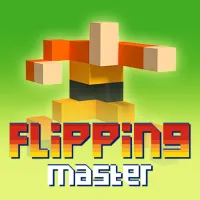 Flipping Master Flipping Master