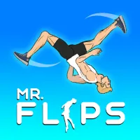 Mr Flip Mr Flip